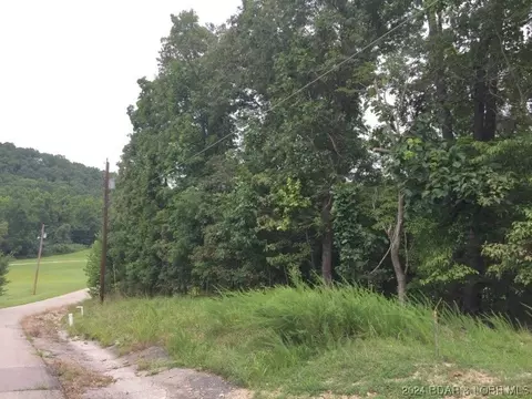 933 Round Table Dr, Camdenton, MO 65020 photo 3