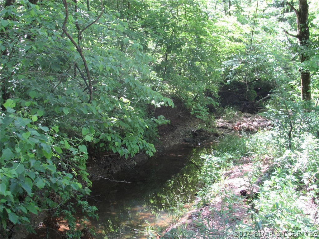 60 Acres Red Arrow Rd  