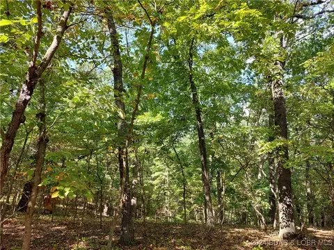30915 Broken Circle Rd, Stover, MO 65078 photo 5