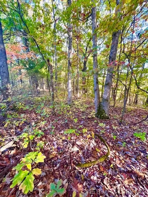 lot Apt 4 Lakewood Ln, Barnett, MO 65011
