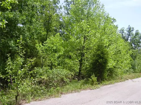 19 Silver Spur Ct, Camdenton, MO 65020