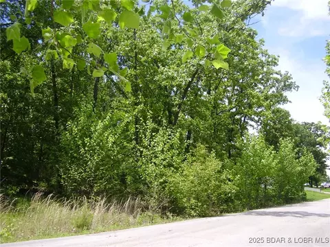 26 Silver Spur Ct, Camdenton, MO 65020
