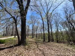 Timber Ridge Estates, Versailles, MO 65084 photo 14