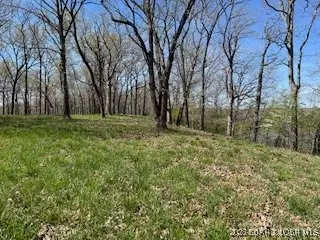 Timber Ridge Estates, Versailles, MO 65084 photo 30