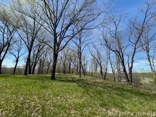 Timber Ridge Estates, Versailles, MO 65084 photo 45