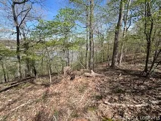 Timber Ridge Estates, Versailles, MO 65084 photo 53