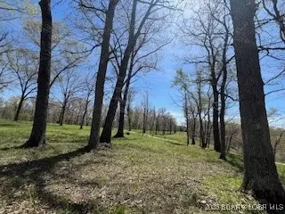 Timber Ridge Estates, Versailles, MO 65084 photo 3