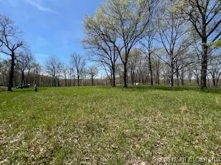 Timber Ridge Estates, Versailles, MO 65084 photo 19