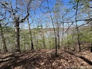 Timber Ridge Estates, Versailles, MO 65084 photo 50