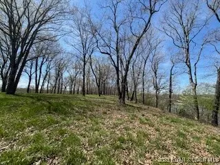 Timber Ridge Estates, Versailles, MO 65084 photo 15