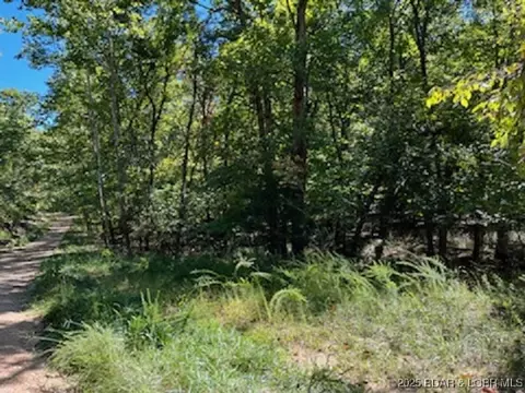94 Cheyenne Dr, Four Seasons, MO 65049