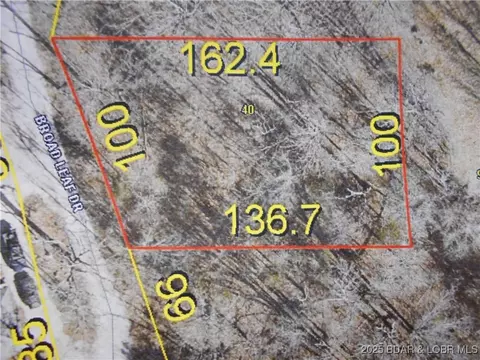 Broad Leaf Road, Sunrise Beach, MO 65079