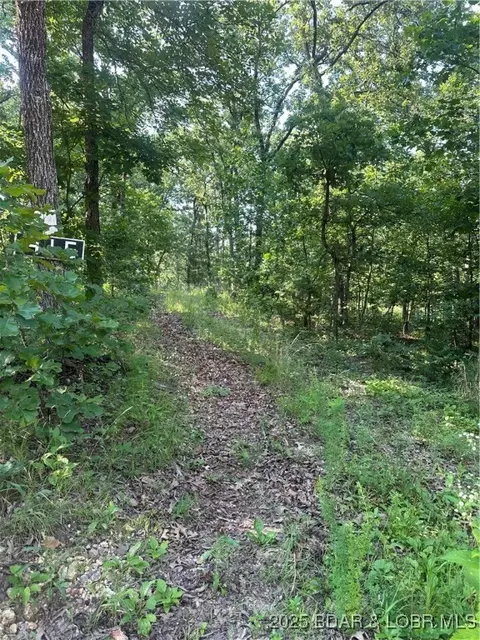 415 Warbonnet Rd, Climax Springs, MO 65787 photo 1