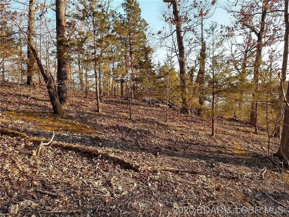  504 Forest Trce, Sunrise Beach, MO 65079 photo 15