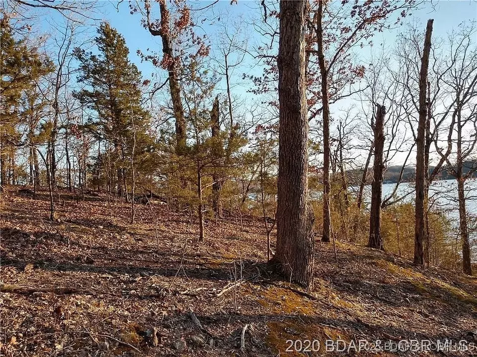  504 Forest Trce, Sunrise Beach, MO 65079 photo 18