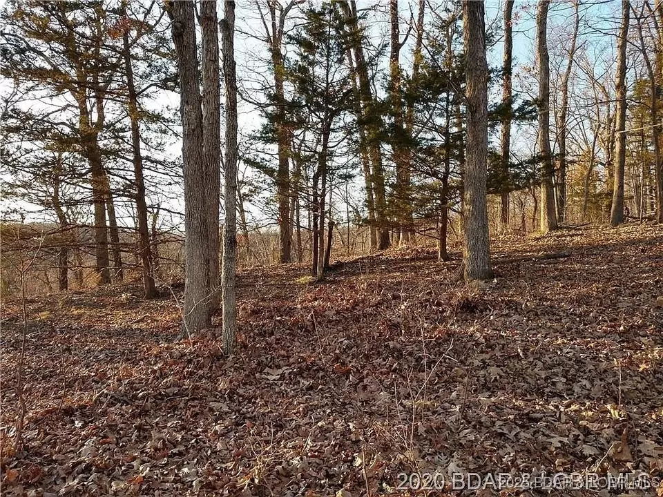  504 Forest Trce, Sunrise Beach, MO 65079 photo 17