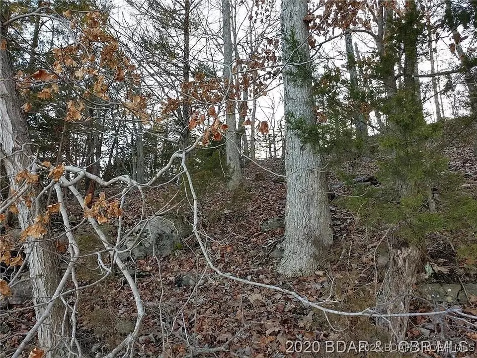  504 Forest Trce, Sunrise Beach, MO 65079 photo 16