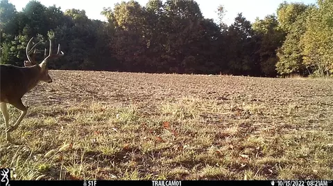 Beechnut Road, Stover, MO 65078 photo 5