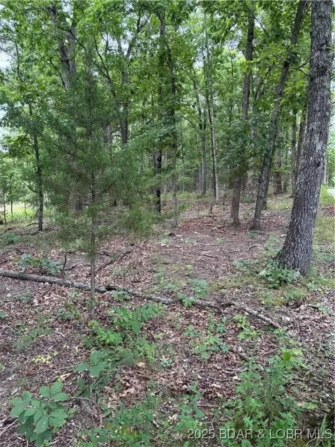 Beechnut Road, Stover, MO 65078 photo 4