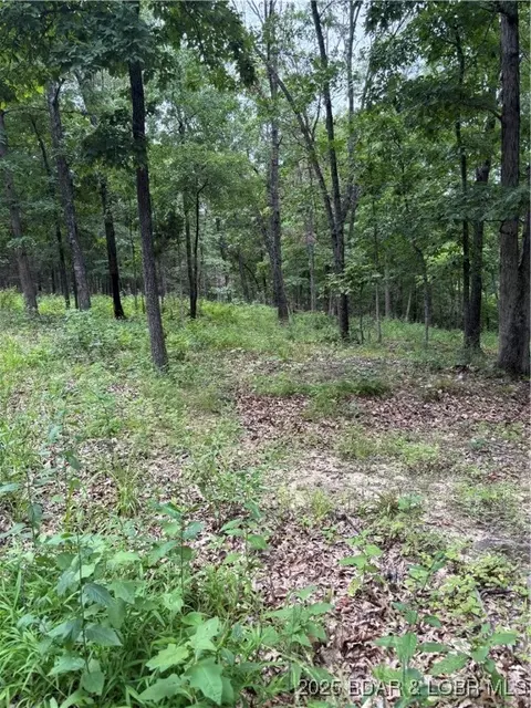 Beechnut Road, Stover, MO 65078 photo 3