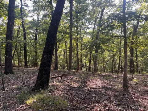 tbd Flathead Rd, Gravois Mills, MO 65037