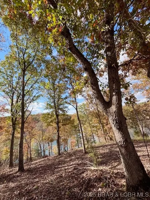 Other - 26450 Eaglepoint Road Apt Rd #(1415.47' LAKE FRONT), Barnett, MO 65011 photo 16 of 19