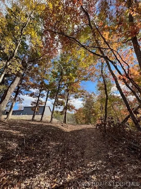 Other - 26450 Eaglepoint Road Apt Rd #(1415.47' LAKE FRONT), Barnett, MO 65011 photo 17 of 19