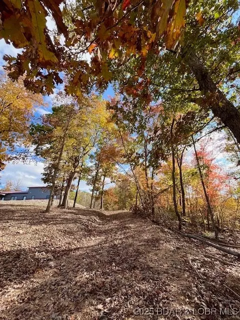 Other - 26450 Eaglepoint Road Apt Rd #(1415.47' LAKE FRONT), Barnett, MO 65011 photo 15 of 19