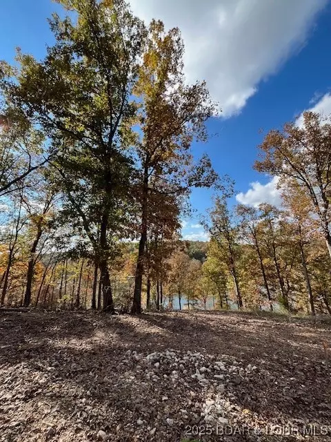 Other - 26450 Eaglepoint Road Apt Rd #(1415.47' LAKE FRONT), Barnett, MO 65011 photo 9 of 19