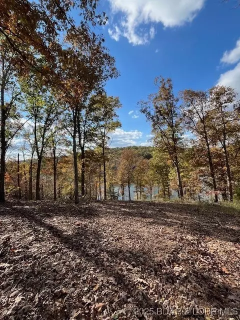 View/Area - 26450 Eaglepoint Road Apt Rd #(1415.47' LAKE FRONT), Barnett, MO 65011 photo 19 of 27