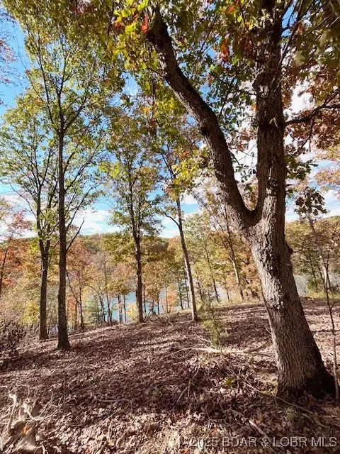 View/Area - 26450 Eaglepoint Road Apt Rd #(1415.47' LAKE FRONT), Barnett, MO 65011 photo 27 of 27