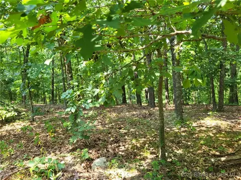 lee drive, Edwards, MO 65326