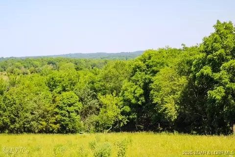 Other - tbd County Side Rd, Iberia, MO 65486 photo 5 of 15