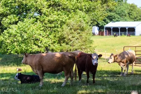 Other - tbd County Side Rd, Iberia, MO 65486 photo 13 of 15