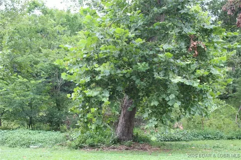 lot B-1 Pinkie Ln, Laurie, MO 65079