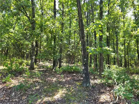 trinchera road, Edwards, MO 65326 photo 8