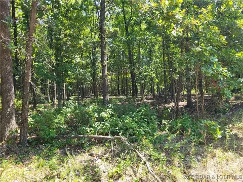 trinchera road, Edwards, MO 65326 photo 5