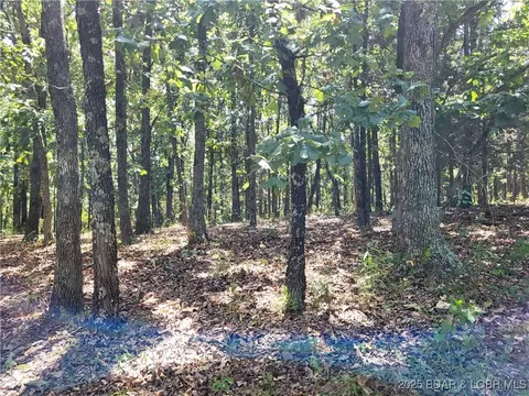 trinchera road, Edwards, MO 65326 photo 14