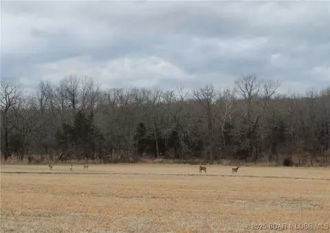 winarsky circle, Edwards, MO 65326 photo 5
