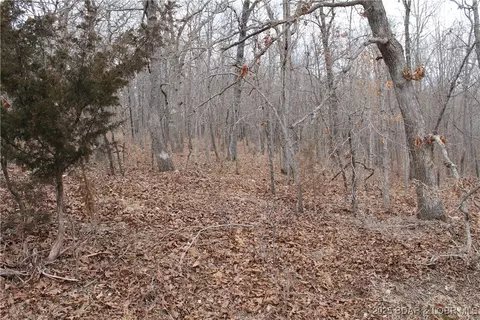 bogardus road, Edwards, MO 65326