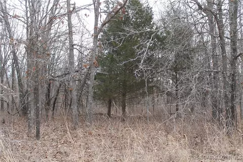 ritchie lane, Edwards, MO 65326