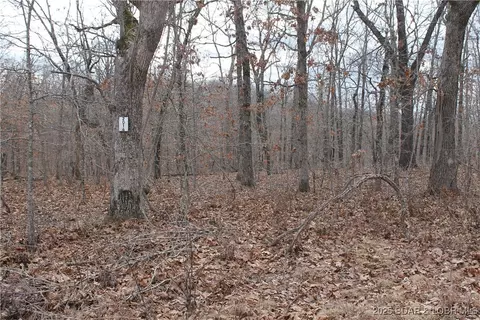 ferro lane, Edwards, MO 65326