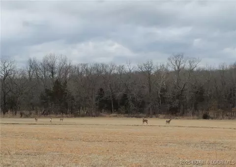 kip drive, Edwards, MO 65326 photo 3