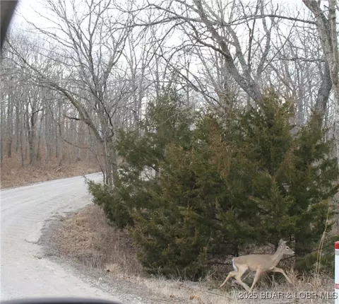 kip drive, Edwards, MO 65326 photo 6