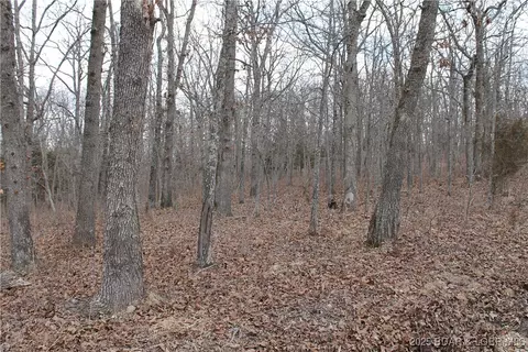 kip drive, Edwards, MO 65326