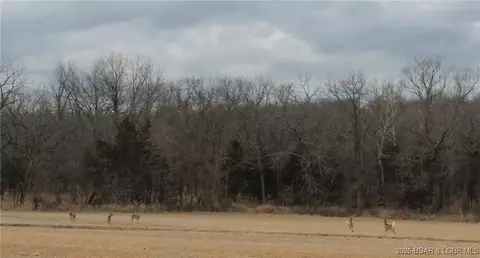 moira road, Edwards, MO 65326 photo 9