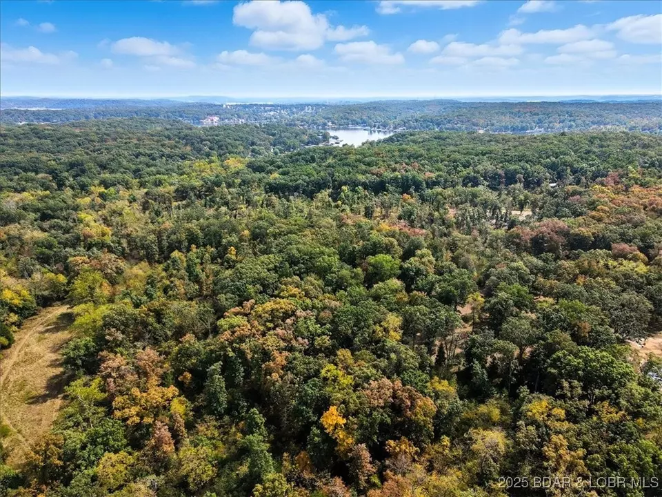 View/Area - 29551 Stoney Oak Dr, Gravois Mills, MO 65037 photo 8 of 9