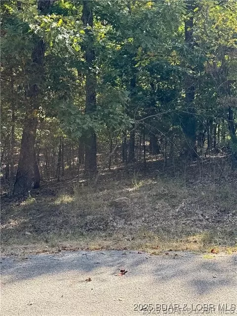 lot1093 Salem Dr, Four Seasons, MO 65049
