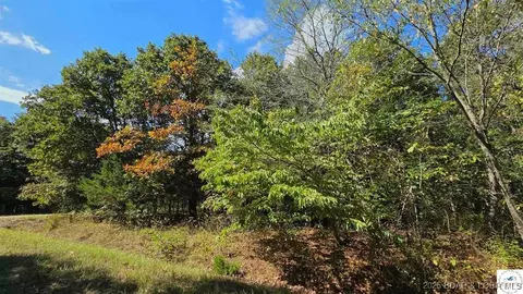 2172 Fay Pl, Edwards, MO 65326 photo 3