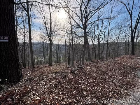 lot580 Manchester Ln, Camdenton, MO 65020